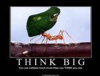 Think Big ... (Click to enlarge)