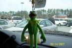 Kermit in window ... (Click to enlarge)