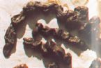 Mucoid Plaque. Photo from Dr. Jensen's  Bowel Management Book