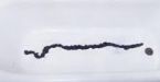 fecalIMPACTx