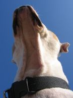 This is NOT my avatar. This is just randomly assigned image, until I upload my own avatar. Click here to see my profile.