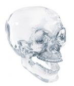 CRYSTAL SKULL ... (Click to enlarge)