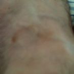 IMG 1186