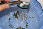 washing stones first BM JPG