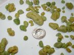 First Liver Flush ... (Click to enlarge)