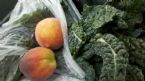 I Heart Kale ... (Click to enlarge)