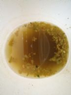 2012 07 13 17 14 33