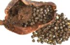 gallbladder_removed