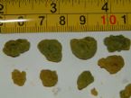 1st Liver Flush 27 5 2011 ... (Click to enlarge)