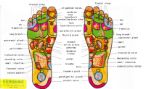 Reflex Zones of the feet