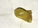 yellow hard thing in my dogs poop ... (Click to enlarge)