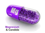 magnesium supplements candida ... (Click to enlarge)