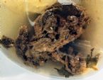 poop4 ... (Click to enlarge)