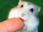 This is NOT my avatar. This is just randomly assigned image, until I upload my own avatar. Click here to see my profile.