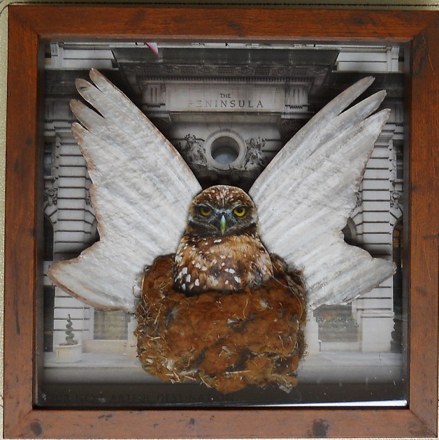 https://www.curezone.org/upload/Members/Mayah/Art_reframed_2021_03_framedcz.jpg