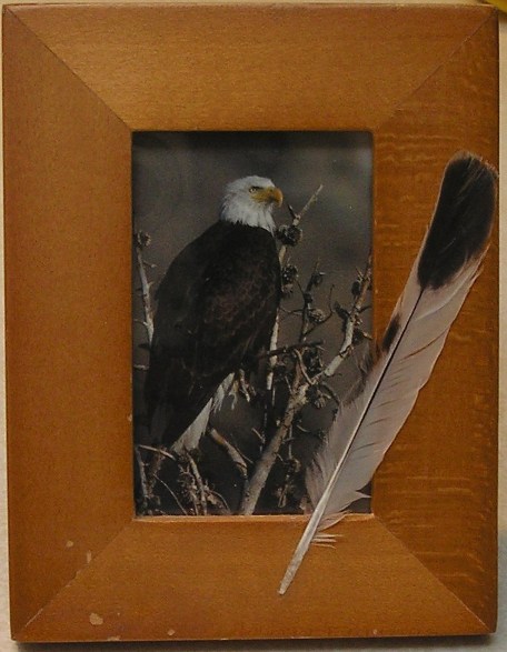 https://www.curezone.org/upload/Members/Mayah/Eagle_and_Feather_2018cz.jpg