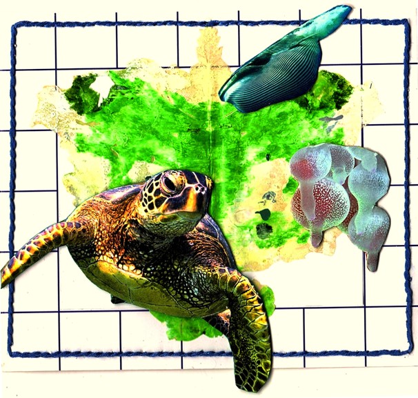 https://www.curezone.org/upload/Members/Mayah/Eco_Art_Placard_Turtle_2019cz.jpg