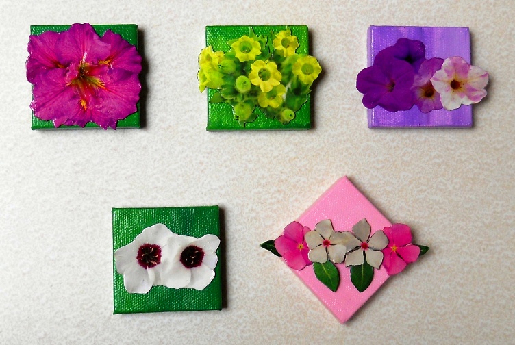 https://www.curezone.org/upload/Members/Mayah/Eco_MaGs_Flowers_2019cz.jpg