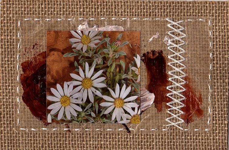 https://www.curezone.org/upload/Members/Mayah/Placard_flowers01_2018cz.jpg