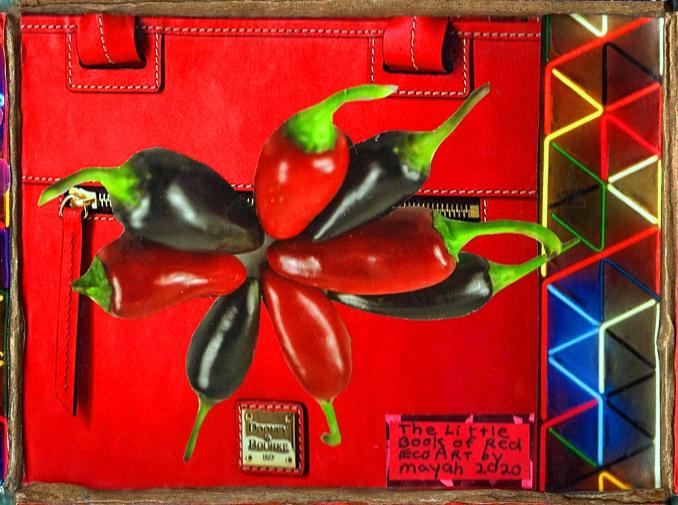 https://www.curezone.org/upload/Members/Mayah/Red_Book_01_Back_2020cz.jpg