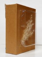 Eco Art 01 Cardboard Box Feathery 02 2019cz ... (Click to enlarge)