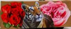 Eco Art 14 Cardboard Box TigerRose 2019 02cz ... (Click to enlarge)