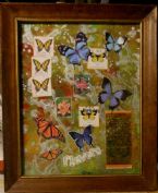 Eco Art Butterflies 4 2021cz ... (Click to enlarge)