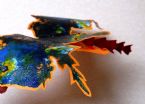 Eco Art Creature 2019cz02 ... (Click to enlarge)