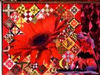 Red Book 01 covercz ... (Click to enlarge)