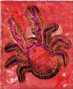 Under the Sea 02 2018cz ... (Click to enlarge)