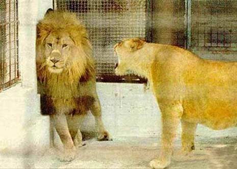 //www.curezone.org/upload/Members/New02/Life_after_marriage1.jpg