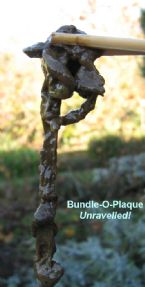bundle unravelled ... (Click to enlarge)