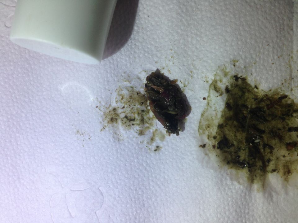Image: please help to identify Image: please help to identify
