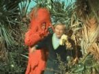 Giant carrot ... (Click to enlarge)