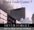 WTC7 ... (Click to enlarge)