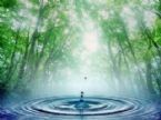 water and trees ... (Click to enlarge)