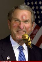 Bee Stings ... (Click to enlarge)