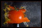 exploding tomato ... (Click to enlarge)
