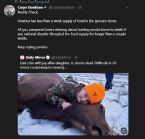 daughterelk ... (Click to enlarge)
