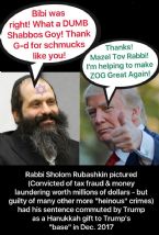 happyrabbirousers ... (Click to enlarge)