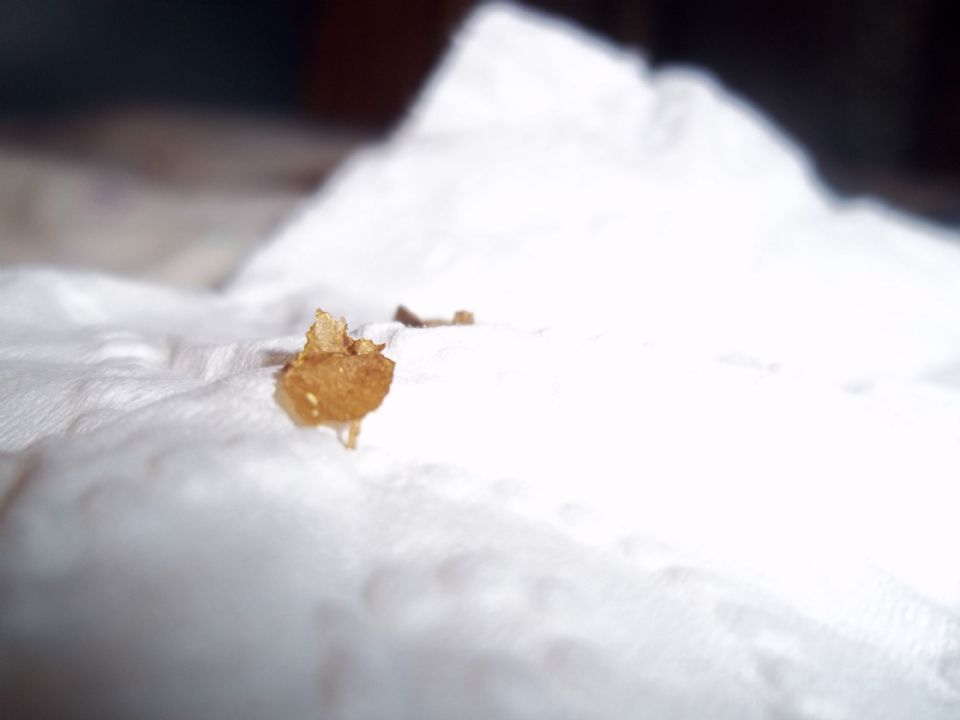 parasites curezone