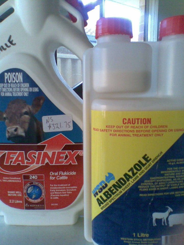 //www.curezone.org/upload/Parasites/26082011_001_.jpg