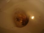 Sept 2007 169