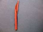 Red Rolled Fluke