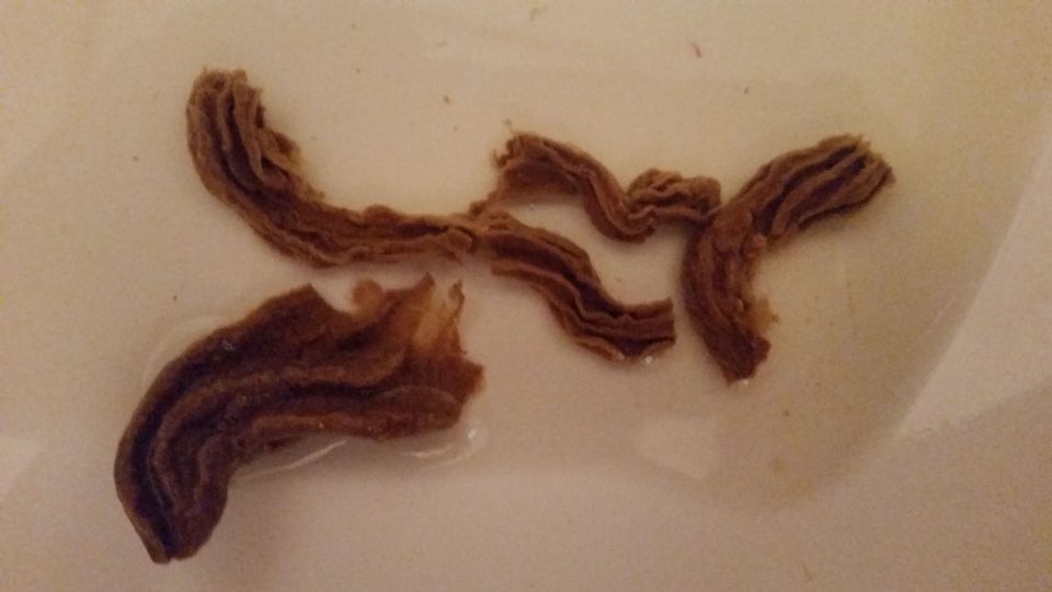 please help id or at least someone reply at Parasites Support Forum