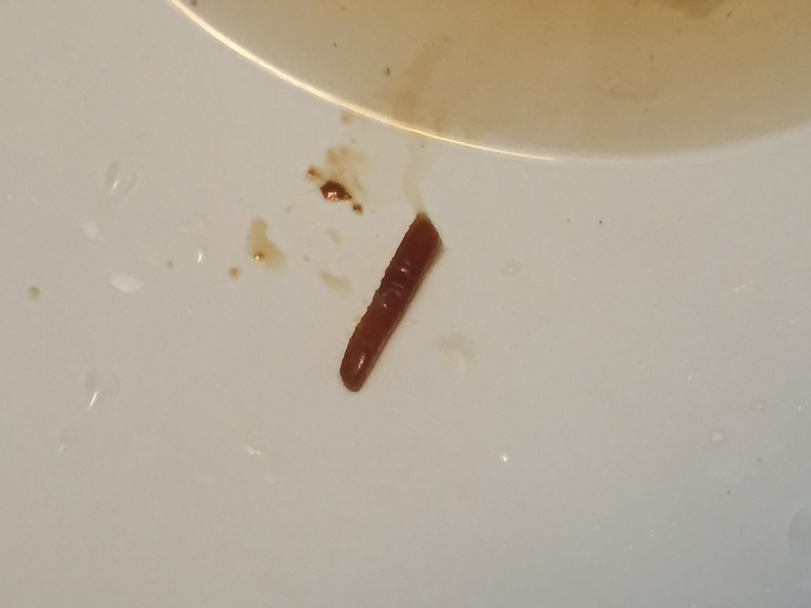 Image: Please help identify Image: Please help identify