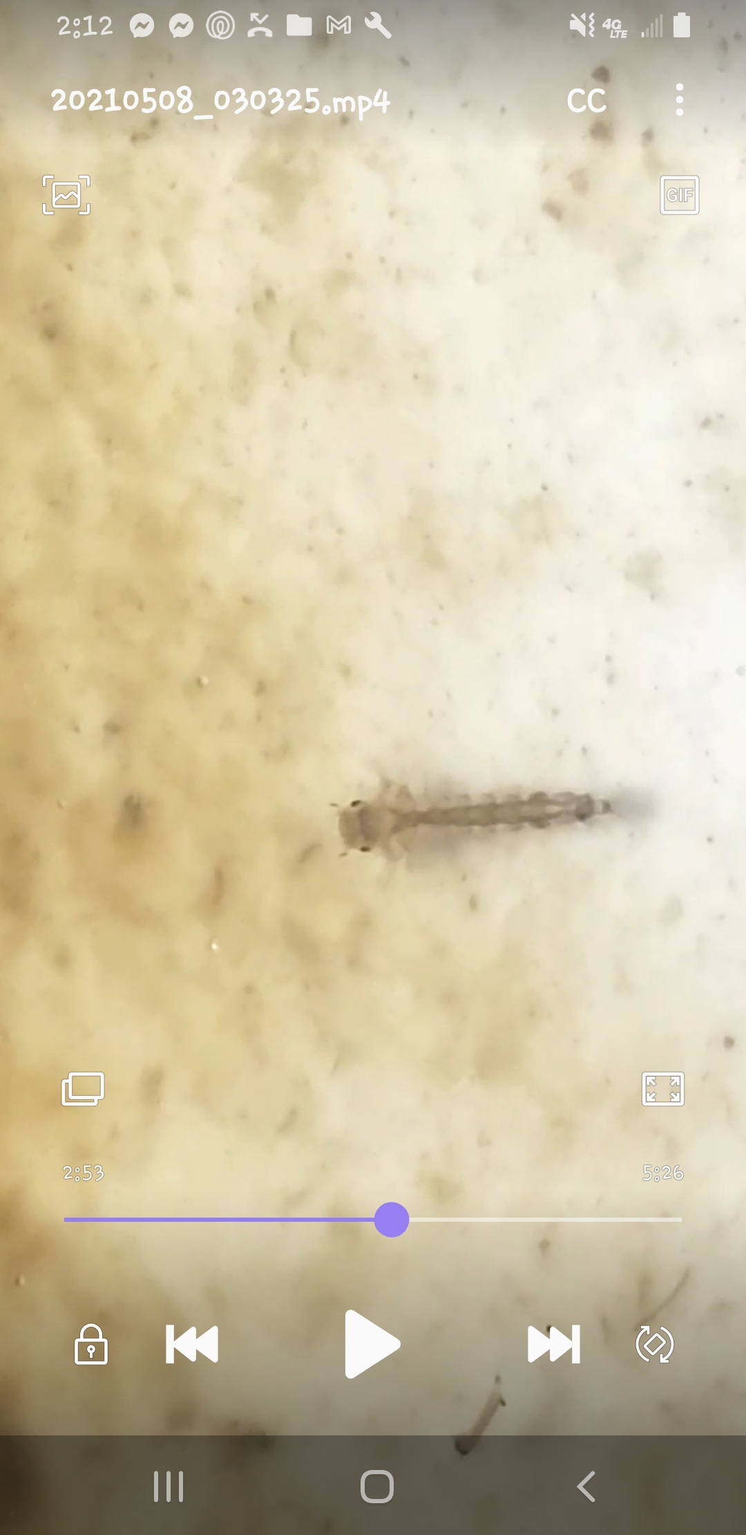 Image: Help I have a monster passed these in my stool!! Image: Help I have a monster passed these in my stool!!
