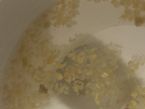 Tapeworm parts or flukes? ... (Click to enlarge)