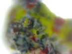 Image17476  scalp thing ... (Click to enlarge)