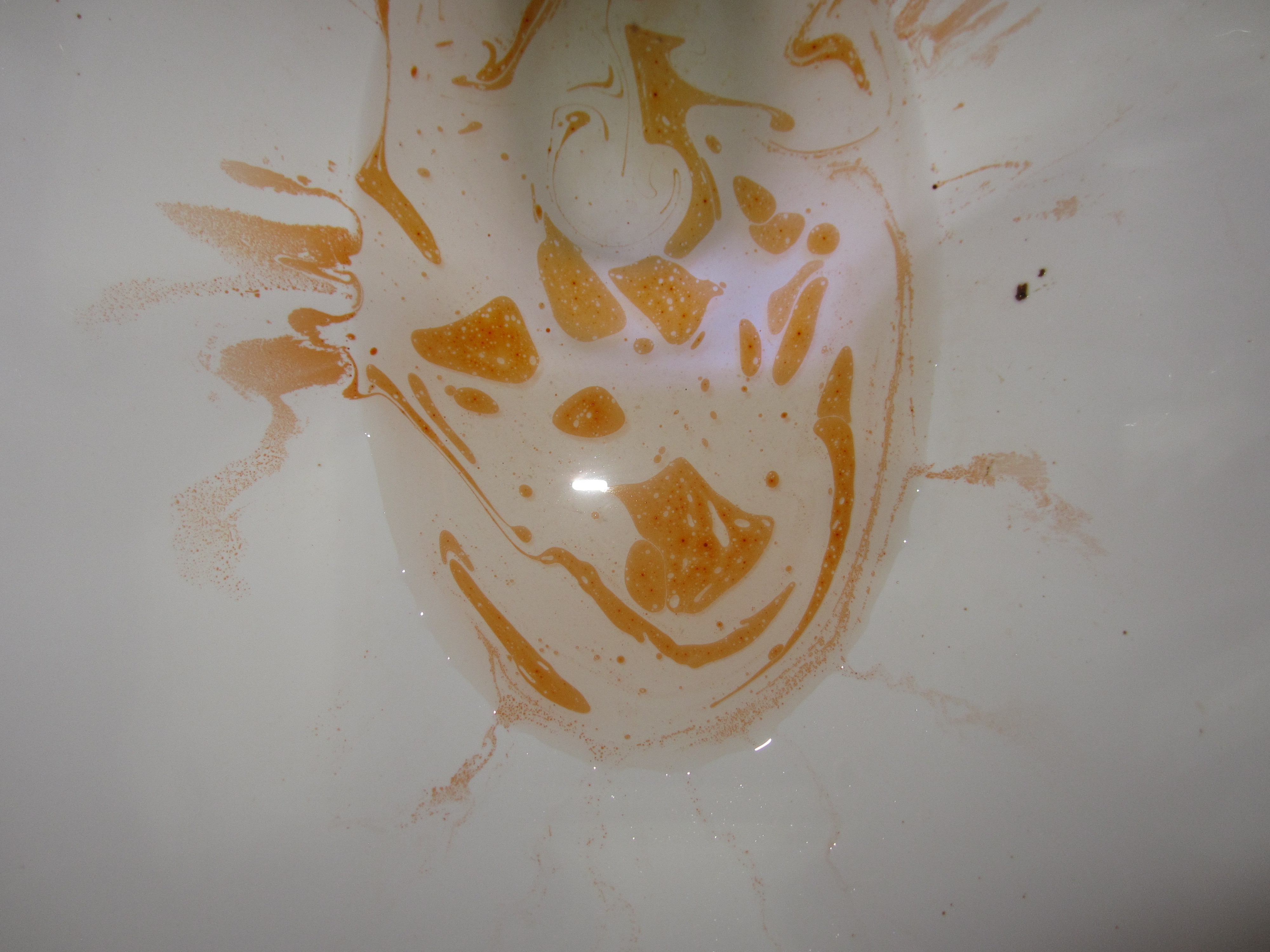 Image: Black Jelly Parasite IMG 4444 Image: Black Jelly Parasite IMG 4444